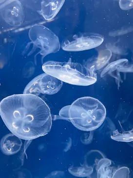 葛西臨海水族園に投稿された画像（2026/8/28）