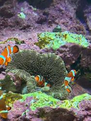 サンシャイン水族館に投稿された画像（2026/8/28）
