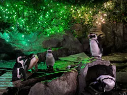サンシャイン水族館に投稿された画像（2026/8/28）