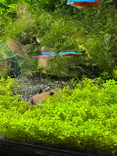 サンシャイン水族館に投稿された画像（2026/8/28）