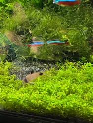 サンシャイン水族館に投稿された画像（2026/8/28）