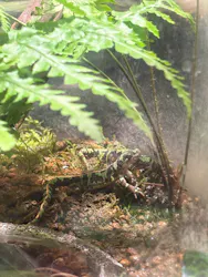 サンシャイン水族館に投稿された画像（2026/8/28）