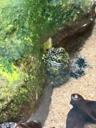 サンシャイン水族館に投稿された画像（2026/8/28）