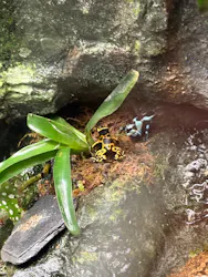 サンシャイン水族館に投稿された画像（2026/8/28）
