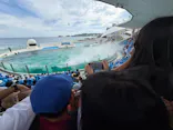 鴨川シーワールドに投稿された画像（2026/8/28）