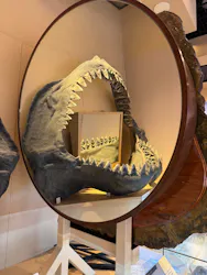 ミュージアムパーク茨城県自然博物館に投稿された画像（2026/8/28）