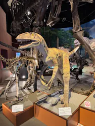 ミュージアムパーク茨城県自然博物館に投稿された画像（2026/8/28）