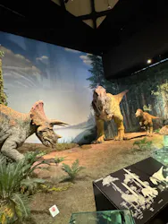 ミュージアムパーク茨城県自然博物館に投稿された画像（2026/8/28）