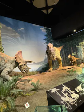 ミュージアムパーク茨城県自然博物館に投稿された画像（2026/8/28）
