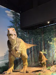 ミュージアムパーク茨城県自然博物館に投稿された画像（2026/8/28）