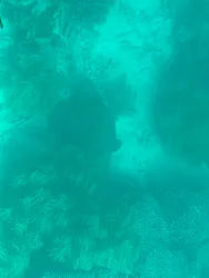 まりんはうすぐるくんに投稿された画像（2026/8/28）