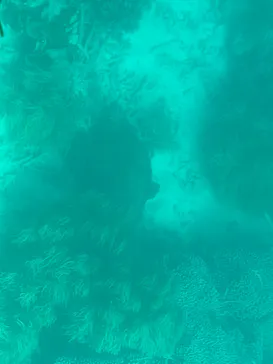 まりんはうすぐるくんに投稿された画像（2026/8/28）