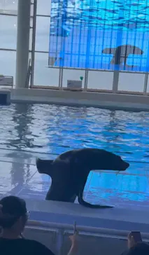 アクアワールド茨城県大洗水族館に投稿された画像（2026/8/28）