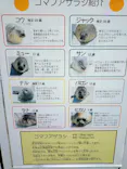 南知多ビーチランド＆南知多おもちゃ王国に投稿された画像（2026/8/28）