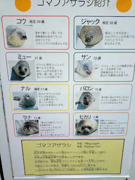南知多ビーチランド＆南知多おもちゃ王国に投稿された画像（2026/8/28）