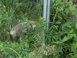 環境水族館アクアマリンふくしまに投稿された画像（2026/8/28）