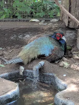 環境水族館アクアマリンふくしまに投稿された画像（2026/8/28）