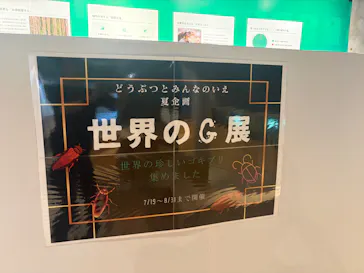 霞ケ浦 どうぶつとみんなのいえに投稿された画像（2026/8/28）