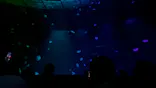 サンシャイン水族館に投稿された画像（2026/8/28）