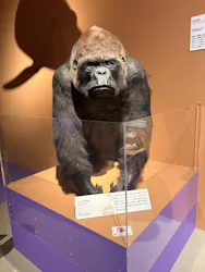 特別展「いきもの超ワールド展　国立科学博物館×ダーウィンが来た！」（国立科学博物館）に投稿された画像（2026/8/28）