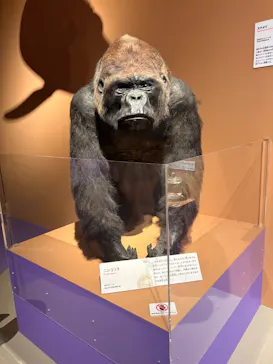 特別展「いきもの超ワールド展　国立科学博物館×ダーウィンが来た！」（国立科学博物館）に投稿された画像（2026/8/28）