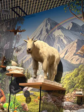 特別展「いきもの超ワールド展　国立科学博物館×ダーウィンが来た！」（国立科学博物館）に投稿された画像（2026/8/28）