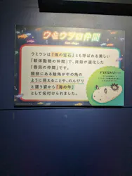 サンシャイン水族館に投稿された画像（2026/8/28）