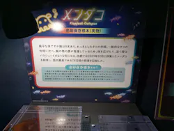 サンシャイン水族館に投稿された画像（2026/8/28）