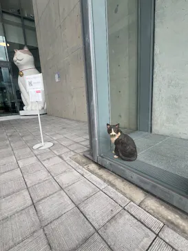 尾道市立美術館に投稿された画像（2026/8/28）