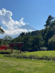 忍野 しのびの里に投稿された画像（2026/8/28）