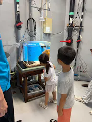沖縄美ら海水族館（館内体験）に投稿された画像（2026/8/28）