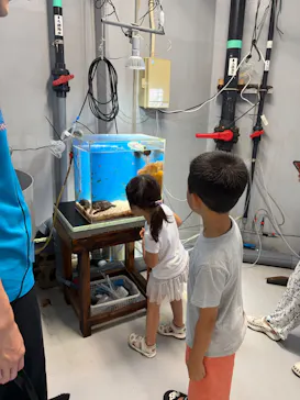 沖縄美ら海水族館（館内体験）に投稿された画像（2026/8/28）
