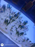 すみだ水族館に投稿された画像（2026/8/28）