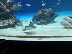サンシャイン水族館に投稿された画像（2026/8/28）