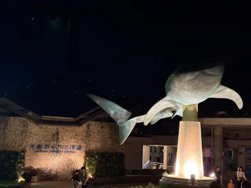 沖縄美ら海水族館に投稿された画像（2026/8/28）