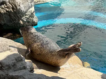 京都水族館に投稿された画像（2026/8/28）
