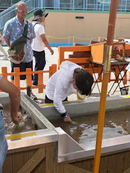 浜名湖パルパルに投稿された画像（2026/8/28）
