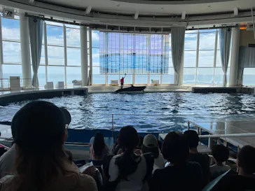 アクアワールド茨城県大洗水族館に投稿された画像（2026/8/28）