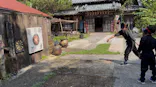 南房総忍者の里に投稿された画像（2026/8/29）