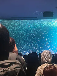 名古屋港水族館に投稿された画像（2026/8/28）