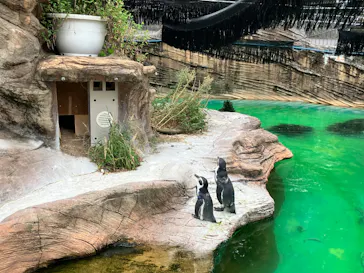 名古屋市東山動植物園に投稿された画像（2026/8/29）