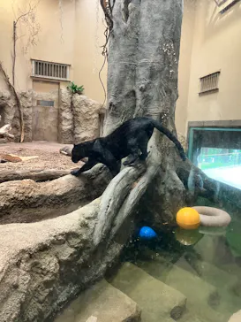名古屋市東山動植物園に投稿された画像（2026/8/29）