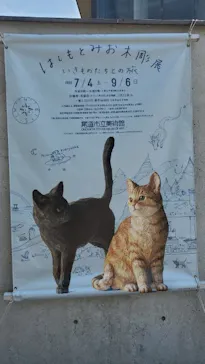 尾道市立美術館に投稿された画像（2026/8/29）
