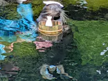 箱根園水族館に投稿された画像（2026/8/29）