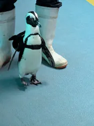 箱根園水族館に投稿された画像（2026/8/29）