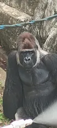 千葉市動物公園に投稿された画像（2026/8/29）