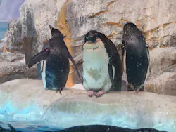 名古屋港水族館に投稿された画像（2026/8/29）