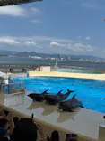 マリンワールド海の中道に投稿された画像（2026/8/29）