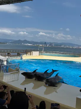 マリンワールド海の中道に投稿された画像（2026/8/29）