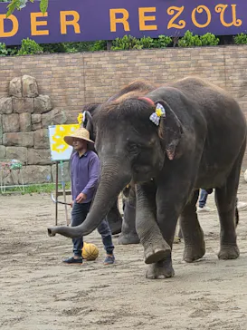ANIMAL WONDER REZOURT 市原ぞうの国・サユリワールドに投稿された画像（2026/8/29）